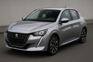 プジョーシルバー 輸入車 外車 おしゃれ デザイン